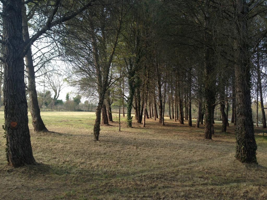Le Mas De Trevouse Saint-Saturnin-lès-Avignon Zewnętrze zdjęcie